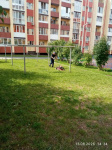 Жилой комплекс "Михайловка Place"