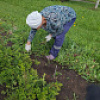 Коттеджный посёлок "Михайловка Green"
