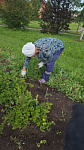 Коттеджный посёлок "Михайловка Green"