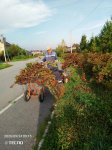 Коттеджный посёлок "Михайловка Green" Коттеджный посёлок "Михайловка Green"